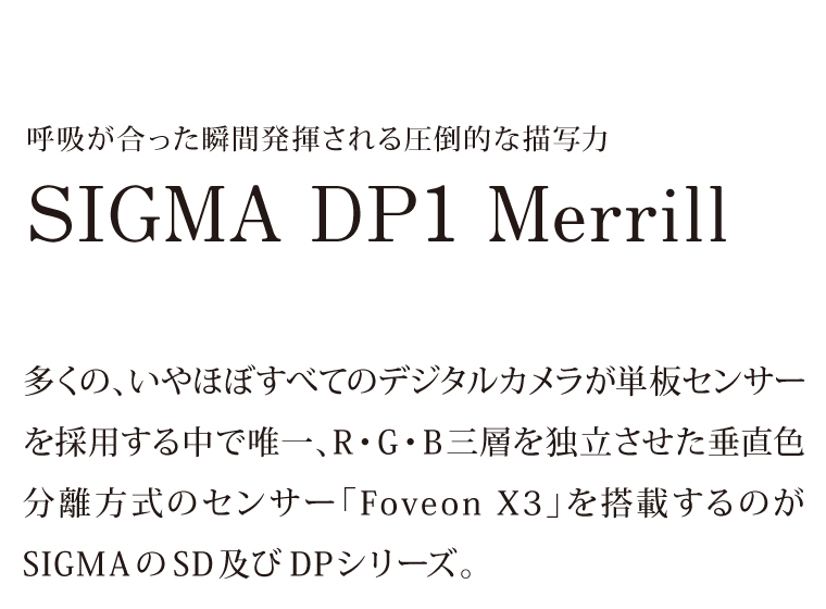 SIGMA DP1 Merrillについて1